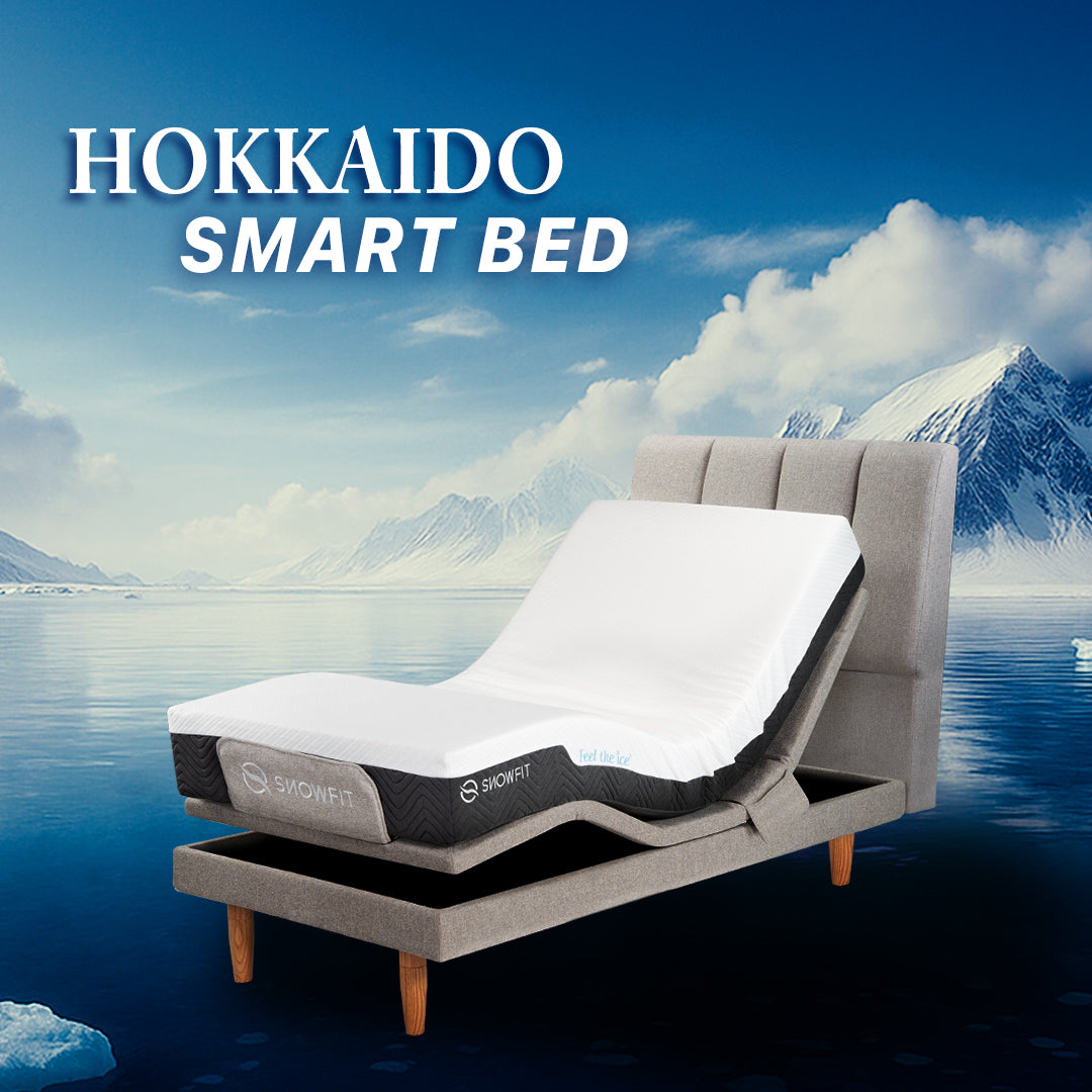 Hokkaido Smart Bed Single