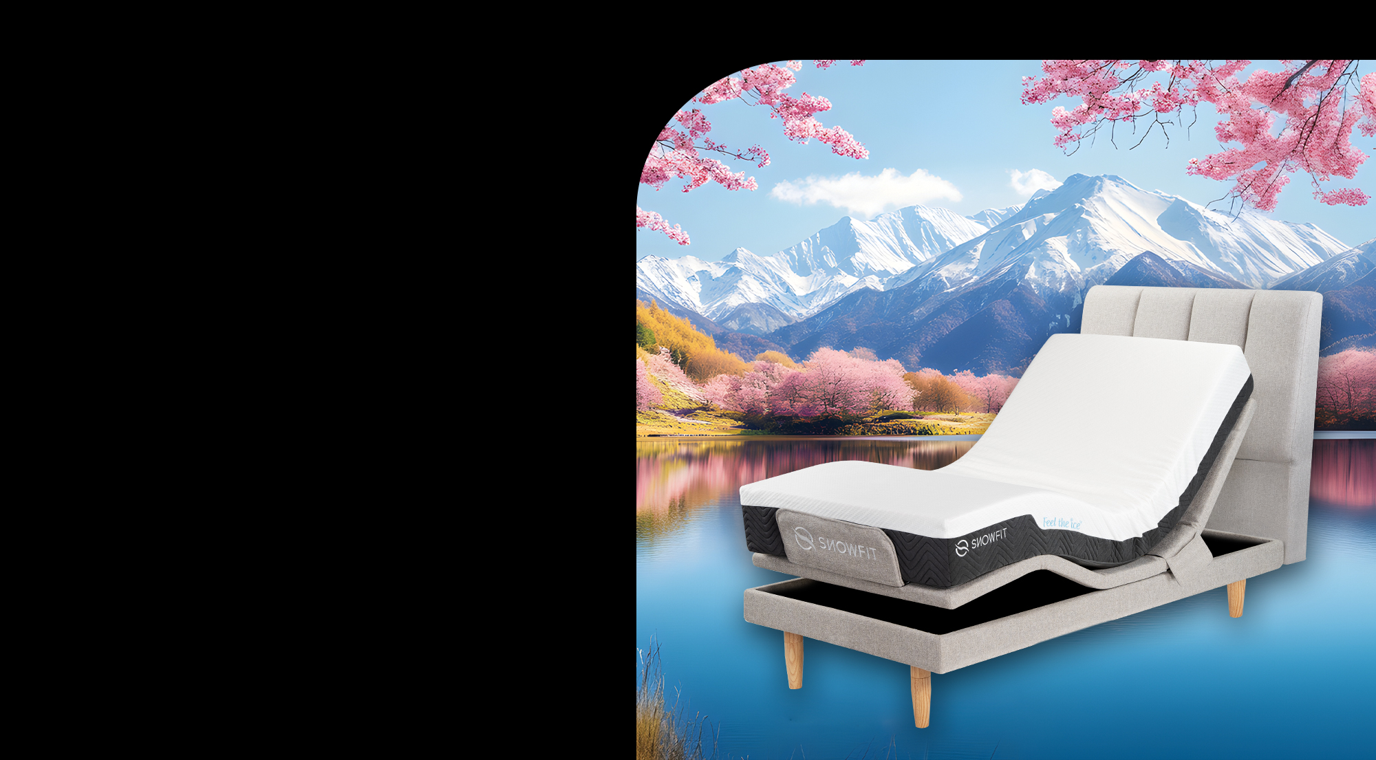 ( Single ) Hokkaido Smart Bed
